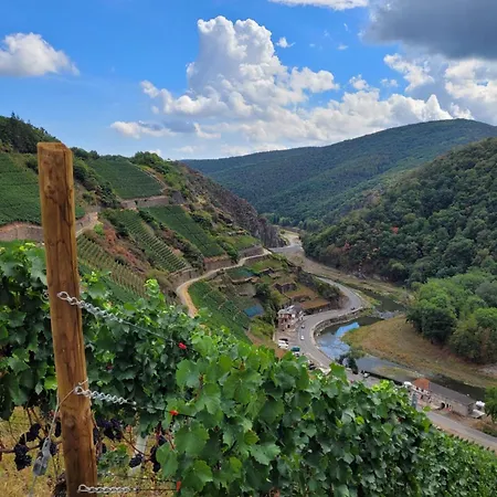 Gruener Horizont 公寓 Karweiler