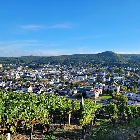 Gruener Horizont Karweiler