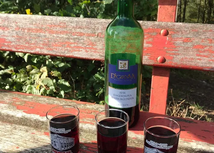 Gruener Horizont Appartement Karweiler